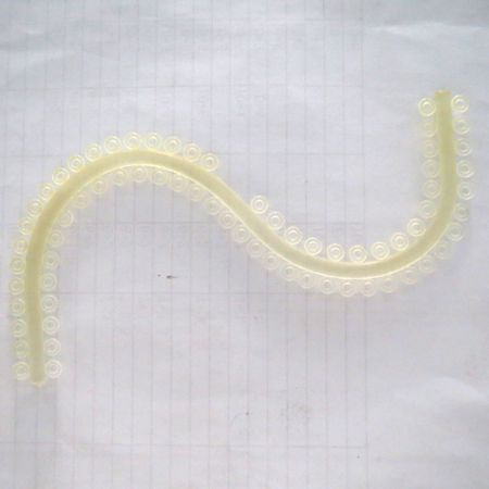 西湖巴爾結(jié)扎絲